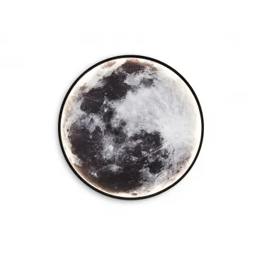 Светильник настенно-потолочный Ambrella WALLERS FW11110 Светильник настенно-потолочный Ambrella WALLERS FW11110