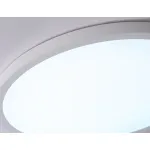 Светильник светодиодный ультратонкий с высокой степенью защиты IP54 Ambrella ORBITAL FZ1955