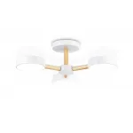 Подвесной светодиодный светильник с пультом Ambrella COMFORT FL4821