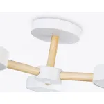 Подвесной светодиодный светильник с пультом Ambrella COMFORT FL4821