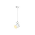 Светильник подвесной Ambrella TRADITIONAL TR8205