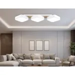 Светильник светодиодный потолочный Ambrella COMFORT FL4877