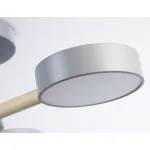 Подвесной светодиодный светильник с пультом Ambrella COMFORT FL4822