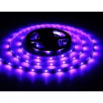 Светодиодная лента Ambrella ILLUMINATION GS4301