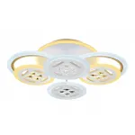 Светильник потолочный светодиодный с пультом Ambrella ACRYLICA FA2951