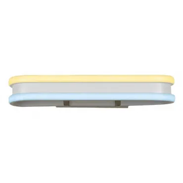 Настенный светодиодный светильник Ambrella COMFORT FL161