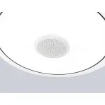 Музыкальный светодиодный светильник c подсветкой RGB Ambrella ORBITAL FZ FZ710