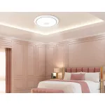 Музыкальный светодиодный светильник c подсветкой RGB Ambrella ORBITAL FZ FZ720