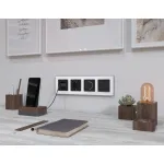 Лицевая панель для электрической розетки с заземлением со шторками 2USB C+C Ambrella Volt ALFA AP8105