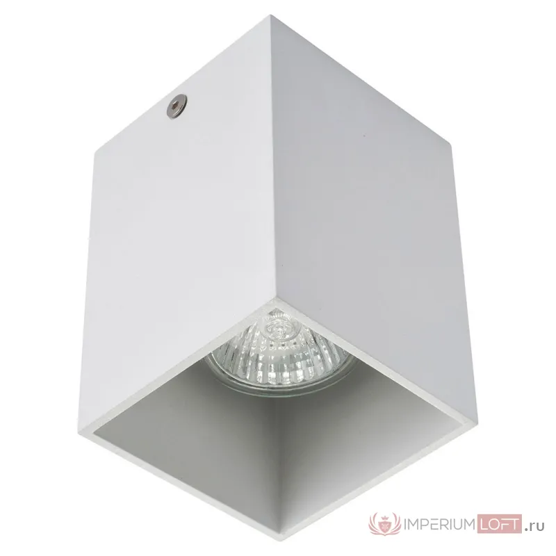 Потолочный накладной светильник белый AM Group AM01-110 WH от ImperiumLoft