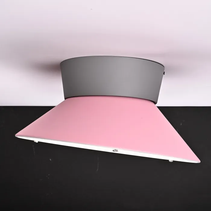 Потолочный светильник KNAP D40 Pink от ImperiumLoft