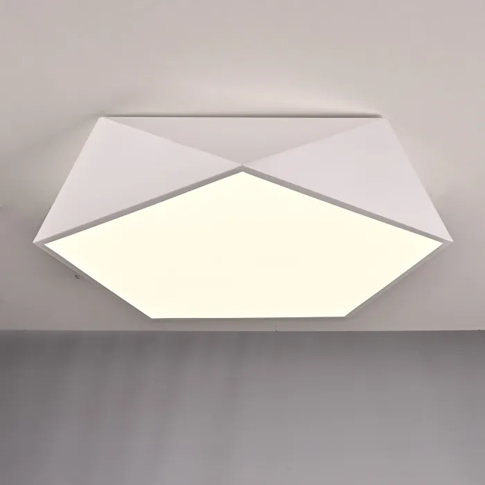 Потолочный светодиодный светильник GEOMETRIC White D60 от ImperiumLoft