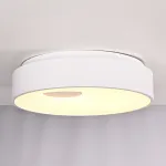 Потолочный светильник ECLA D45 от ImperiumLoft