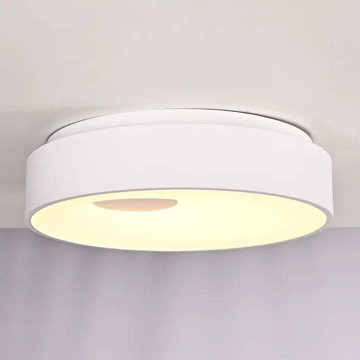Потолочный светильник ECLA D45 от ImperiumLoft