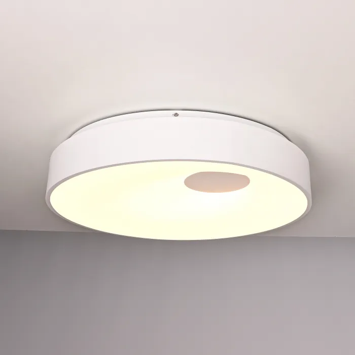 Потолочный светильник ECLA D57 от ImperiumLoft