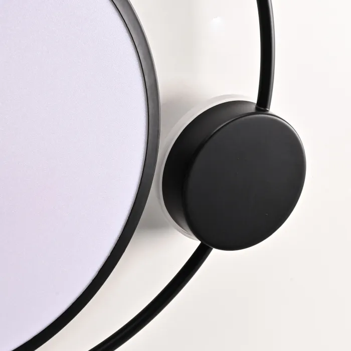 Потолочный светильник DESTIN D40 Black от ImperiumLoft
