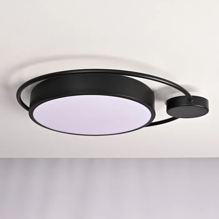 Потолочный светильник DESTIN D40 Black от ImperiumLoft