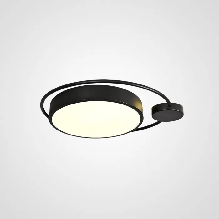 Потолочный светильник DESTIN D40 Black от ImperiumLoft