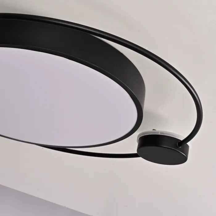 Потолочный светильник DESTIN D60 Black от ImperiumLoft