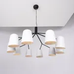 Подвесная люстра SKYM D105