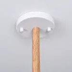Потолочная люстра FLAN 8