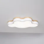 Потолочный светильник CLOUD ECO D63 White