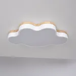 Потолочный светильник CLOUD ECO D63 White