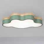 Потолочный светильник CLOUD ECO D50 Green