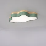 Потолочный светильник CLOUD ECO D50 Green