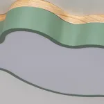 Потолочный светильник CLOUD ECO D50 Green