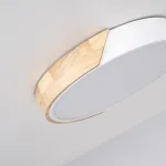 Потолочный светильник CLIP White D30