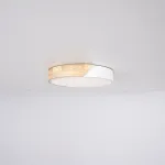 Потолочный светильник CLIP White D30