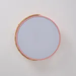 Потолочный светильник CLIP Pink D30