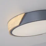 Потолочный светильник CLIP Grey D30