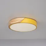 Потолочный светильник CLIP Yellow D30