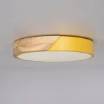 Потолочный светильник CLIP Yellow D30