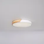 Потолочный светильник CLIP White D40