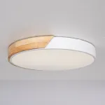 Потолочный светильник CLIP White D40