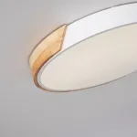 Потолочный светильник CLIP White D40