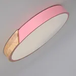 Потолочный светильник CLIP Pink D40