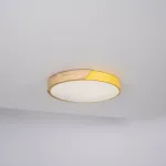 Потолочный светильник CLIP Yellow D40