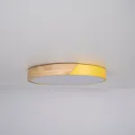 Потолочный светильник CLIP Yellow D40