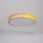 Потолочный светильник CLIP Yellow D40