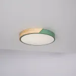 Потолочный светильник CLIP Green D40