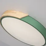 Потолочный светильник CLIP Green D40