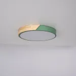 Потолочный светильник CLIP Green D40