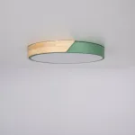 Потолочный светильник CLIP Green D40