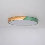 Потолочный светильник CLIP Green D50