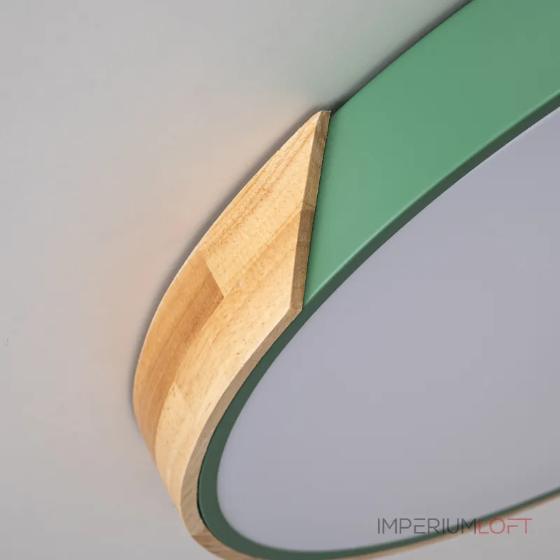 Потолочный светильник CLIP Green D50