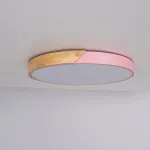 Потолочный светильник CLIP Pink D50